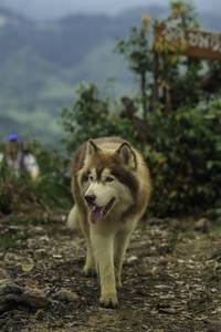 BIB: 
                            <button type="button" onclick="openModal(24763421)" class="btn btn-primary btn-sm float-right btn-popup" data-toggle="modal" data-target=".modal-high-quality">
                        <i class="fas fa-shopping-cart"></i> Add to Cart
                    </button>
                                            <button type="button" onclick="isThisMe(24763421, true)" class="btn btn-success btn-sm float-right btn-popup btn-isme hidden" data-toggle="tooltip" data-placement="bottom" title="นี่คือรูปของคุณใช่ไหม คลิกที่นี่เพื่อเอาเข้าอัลบั้ม">
                        <i class="fas fa-plus"></i> Add to album
                    </button>
                    <button type="button" onclick="isThisMe(24763421, false)" class="btn btn-warning btn-sm float-right btn-popup btn-isnotme hidden">
                        <i class="fas fa-ban"></i> Remove from album
                    </button>